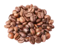 Café en grains Hop Café Café en grains Hop Café